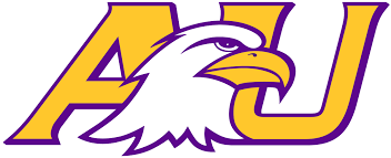 Series - Collegiate Tennis Camps 23 Ashland University - Ashland, OH